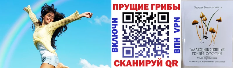 Псилоцибиновые грибы MAGIC MUSHROOMS  Купить где  Киров 