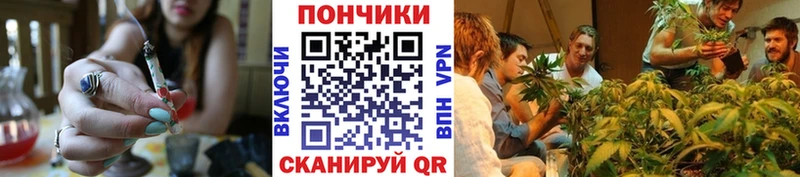 Бошки марихуана марихуана  Купить закладки  Киров 